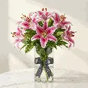 asiatic_lilies_pink_n_white.webp