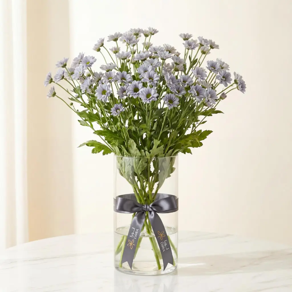 EUCALYPTUS CINEREA.webp