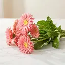 GERBERA Pink1.webp