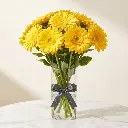 GERBERA Yellow.webp