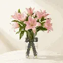 ASIATIC_LILIES_light_pink.webp