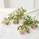 WAX FLOWER Pink1.webp