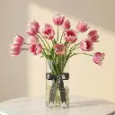 TULIP Pink Double Color.webp