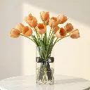 TULIP Orange.webp
