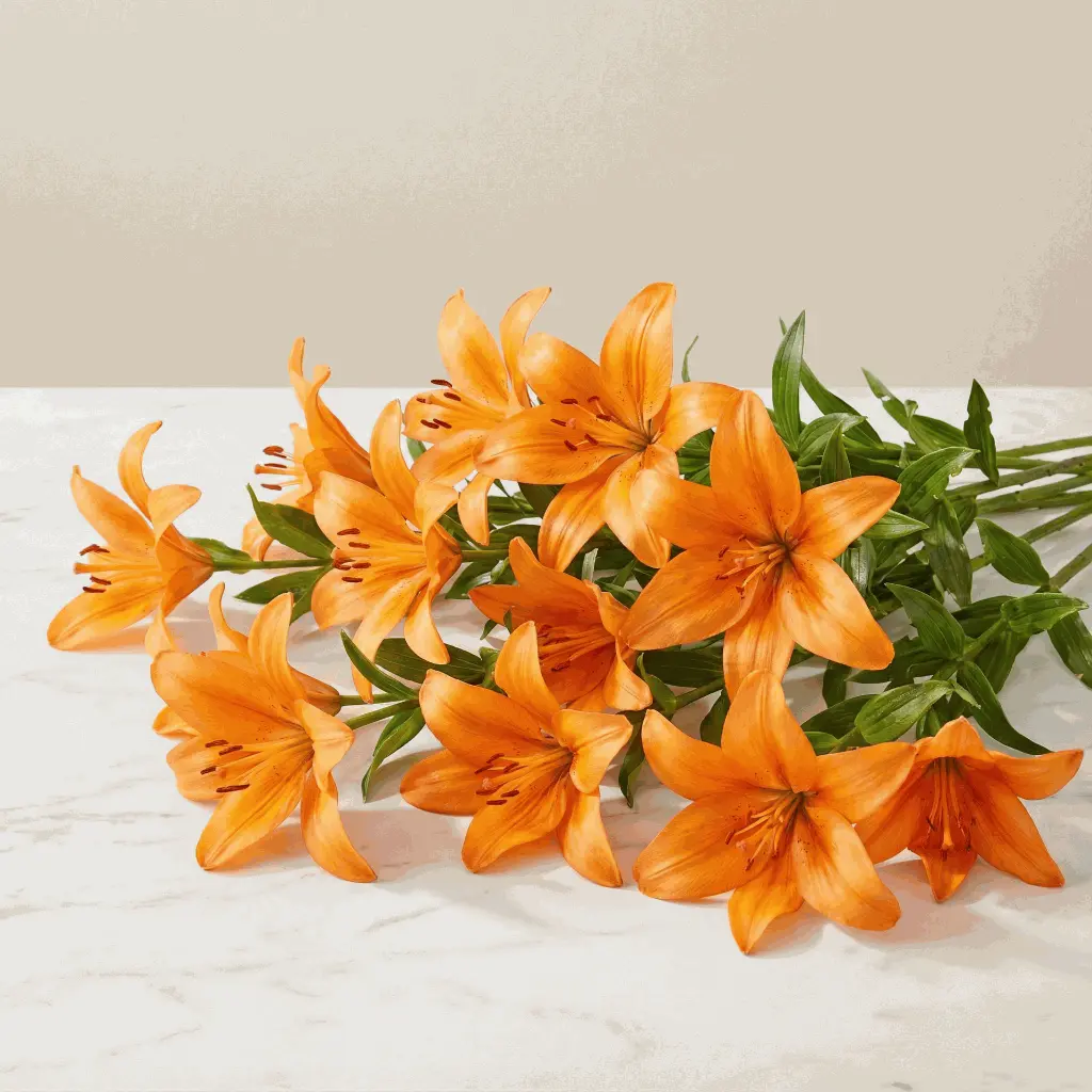 ASIATIC_LILIES_orange2.webp