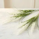 RICE FLOWER White1.webp