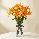 ASIATIC_LILIES_orange.webp