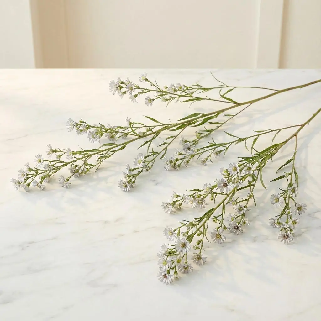 SALIDAGO silver.webp