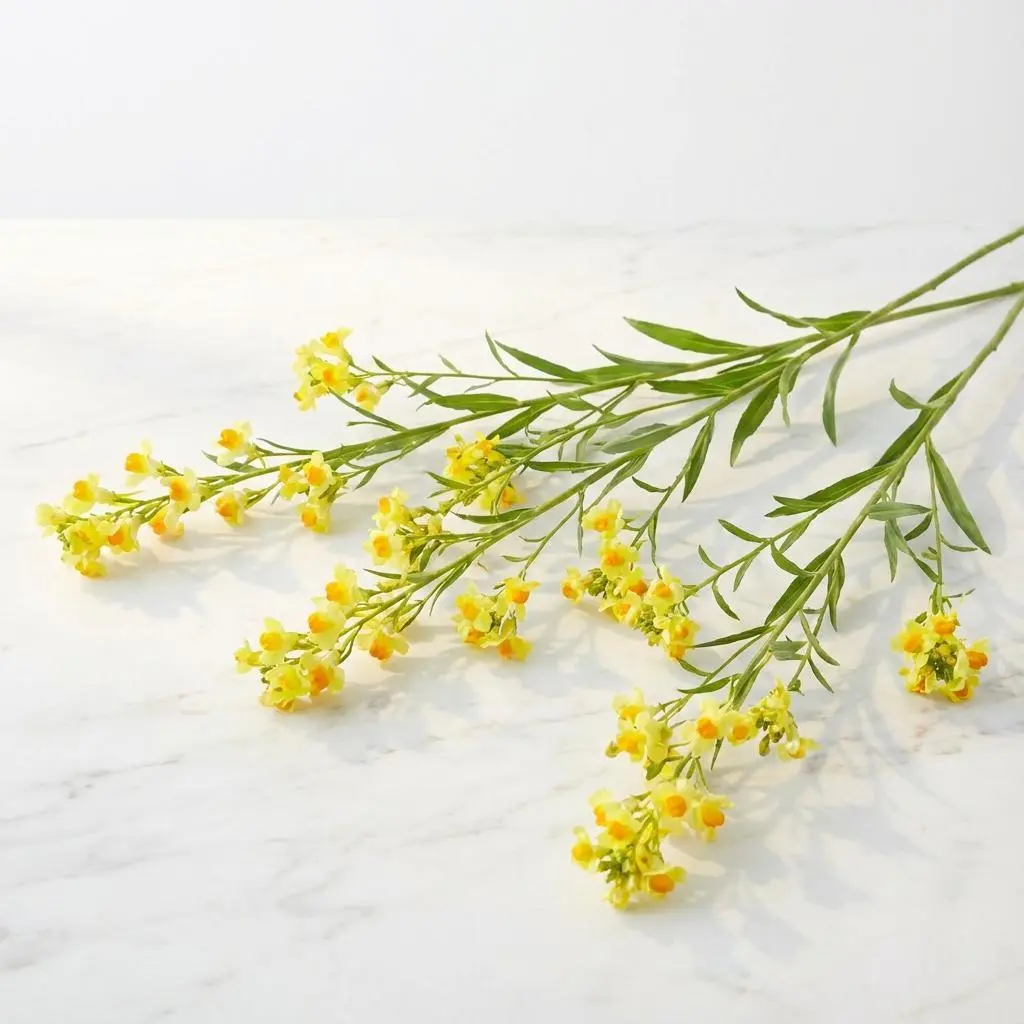 SALIDAGO yellow2.webp