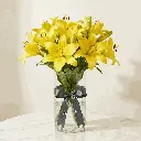 ASIATIC_LILIES_yellow.webp
