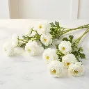 RANUNCULUS white1.webp