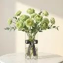 RANUNCULUS green.webp