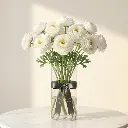 RANUNCULUS white.webp