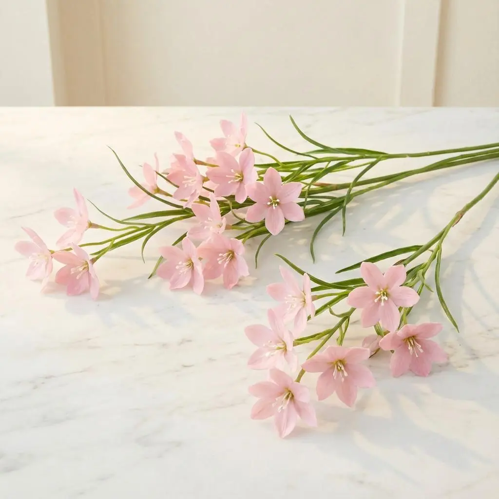 ORNITHOGALUM 