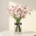 ORNITHOGALUM Pink.webp