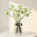 ORNITHOGALUM white1.webp