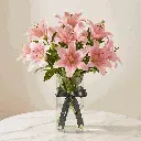 ASIATIC_LILIES_pink.webp