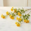 HYPERICUM Yellow.webp