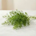 WhatsApp Image 2025-12-19 at 11.02.25 PM (1).webp