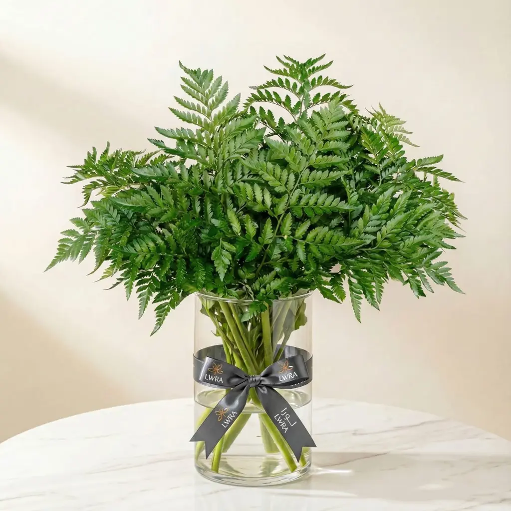 WhatsApp Image 2025-12-19 at 11.02.26 PM (1).webp