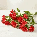 ALSTROMERIA_red2.webp