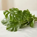 WhatsApp Image 2025-12-19 at 11.02.28 PM.webp