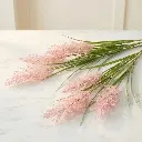 RICE FLOWER White.webp