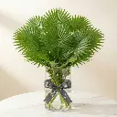 WhatsApp Image 2025-12-19 at 11.02.26 PM.webp