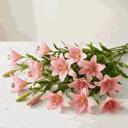 ASIATIC_LILIES_pink2.webp