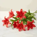 ASIATIC_LILIES_red.webp
