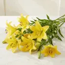 ASIATIC_LILIES_yellow2.webp