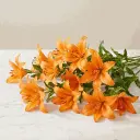 ASIATIC_LILIES_orange2.webp