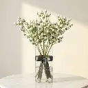 HYPERICUM (WHITE).webp