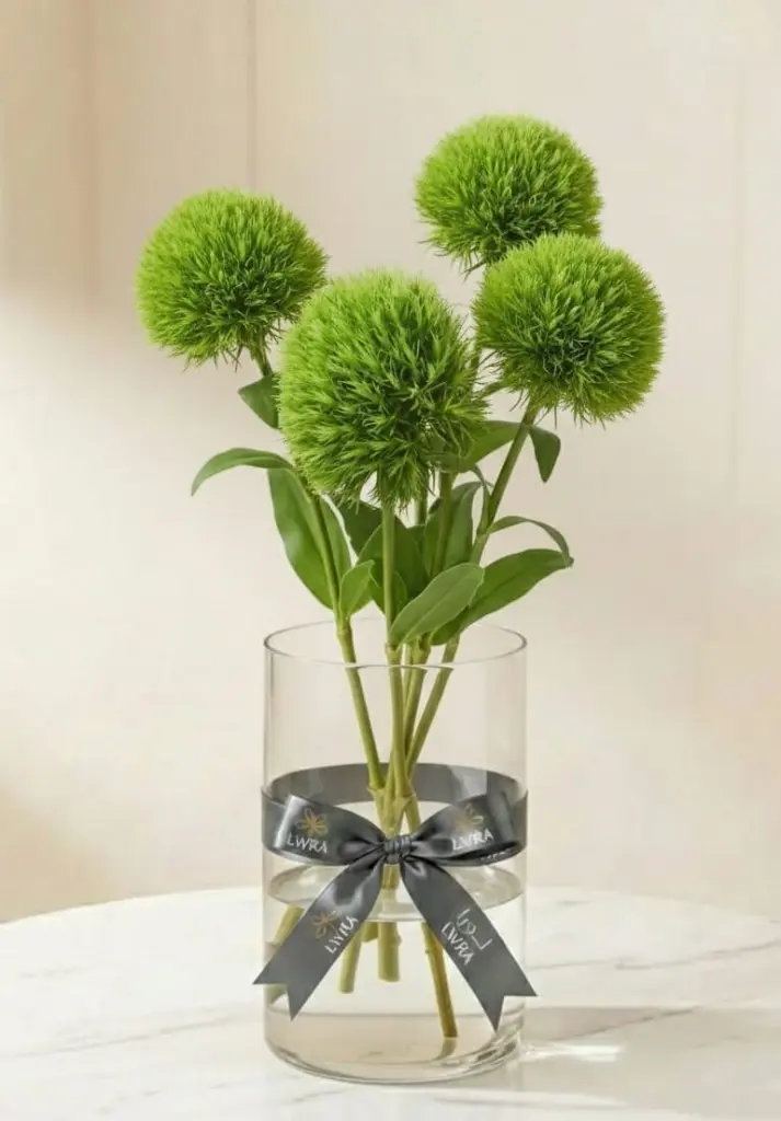 Kiwi Mellow Coo