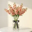 WhatsApp Image 2025-12-19 at 11.02.15 PM.webp