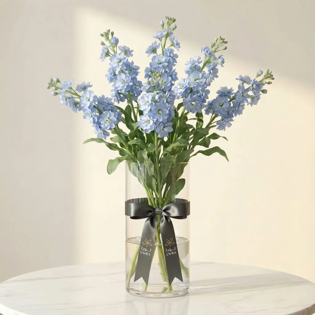 MATTHIOLA
