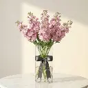 WhatsApp Image 2025-12-19 at 11.02.10 PM.webp