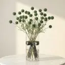 WhatsApp Image 2026-02-09 at 7.40.04 PM.webp