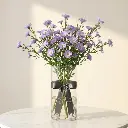 ASTER_purple.webp