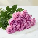 WhatsApp Image 2026-04-23 at 11.47.27 AM.webp