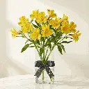 ALSTROMERIA_yellow.webp