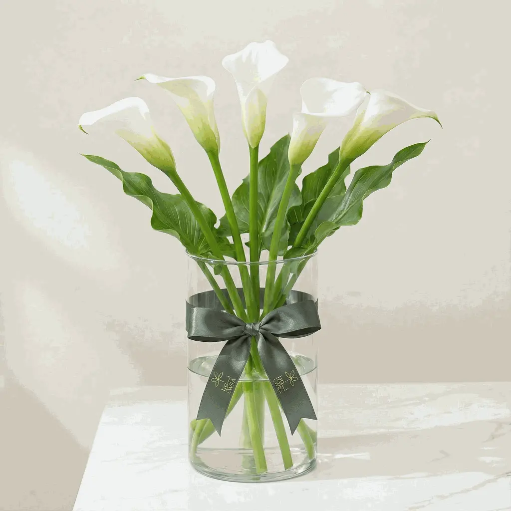 Calla Lilies white 1.webp