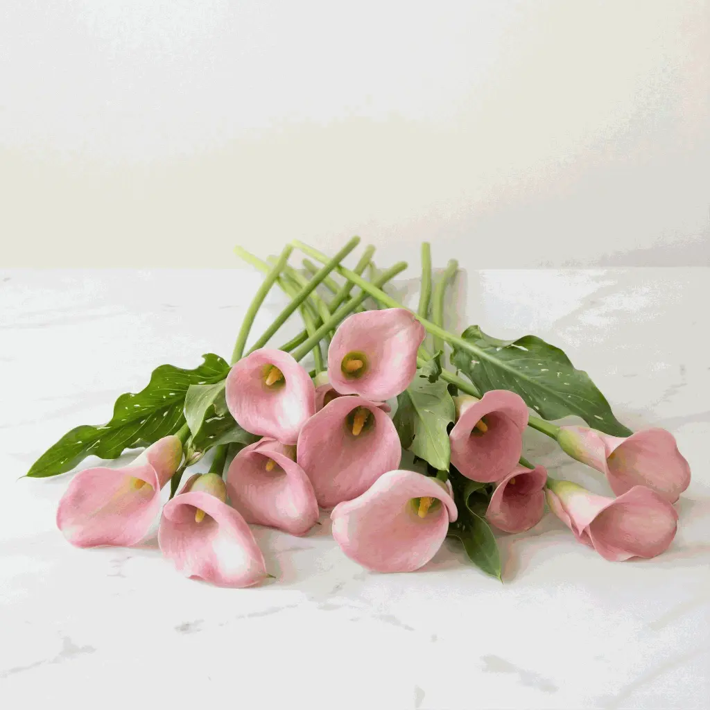 Calla Lilies red4.webp