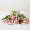 Calla Lilies red4.webp