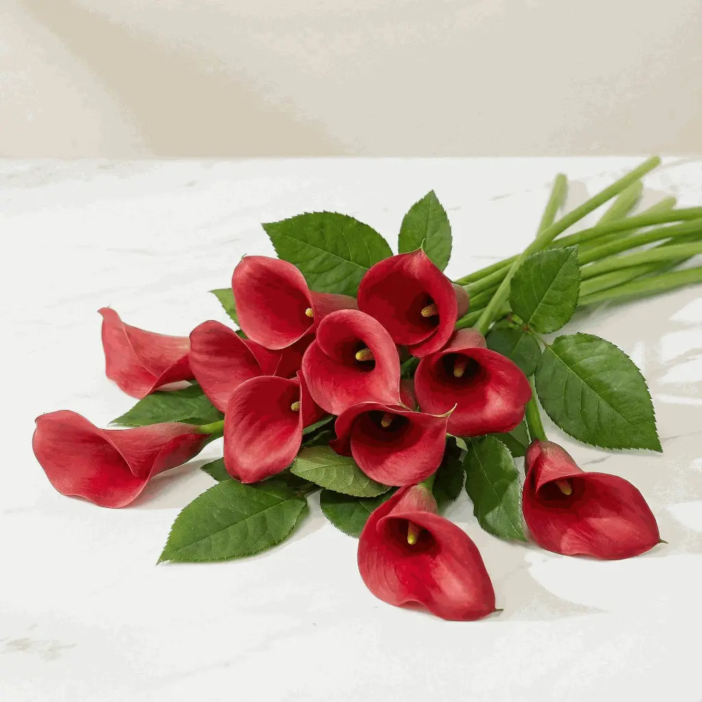 Calla Lilies red2.webp