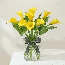 Calla Lilies yellow1.webp