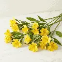 ALSTROMERIA_yellow2.webp