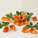 Calla Lilies Orange.webp