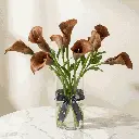 Calla Lilies brown1.webp