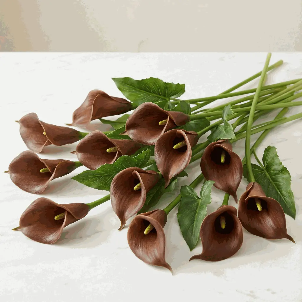 Calla Lilies brown.webp